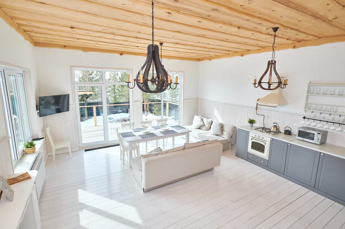 Open Floor Concept of Scandinavian Style Home